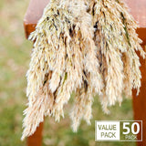 Dried-Pampas-Grass Decor Fluffy-Pompas Floral-50-Stems Small-Pompous-Bulk Natural-Pompus-Grasses-Short Coffee Table Decor