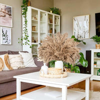 Dried-Pampas-Grass Decor Fluffy-Pompas Floral-50-Stems Small-Pompous-Bulk Natural-Pompus-Grasses-Short Coffee Table Decor
