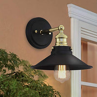 Mega Lighting Light Sconce Matte Black with Brass Accents