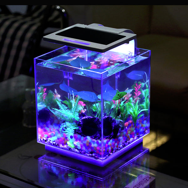 Aqua Innovations 4 Gallon Cube Aquarium Kit (Includes Filter + LED Light)