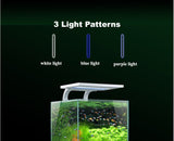 Aqua Innovations 4 Gallon Cube Aquarium Kit (Includes Filter + LED Light)