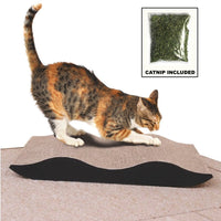 Paw Essentials 13" Cardboard Cat Scratcher Lounge for Kittens with Catnip