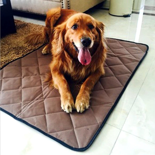 Paw Essentials Pet Mat & Crate Pad, Oxford Fabric Waterproof