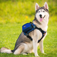 Paw Essentials Adjustable Saddle Bag Dog Backpack Carrier with Harness  (5 Color Options)