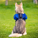 Paw Essentials Adjustable Saddle Bag Dog Backpack Carrier with Harness  (5 Color Options)