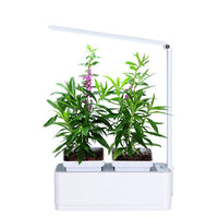 GreenEarth Mini Indoor Smart Hydroponics Plant & Herb Garden Kit with LED Light