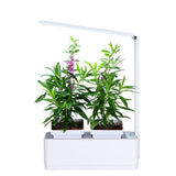 GreenEarth Mini Indoor Smart Hydroponics Plant & Herb Garden Kit with LED Light