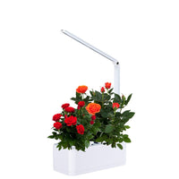 GreenEarth Mini Indoor Smart Hydroponics Plant & Herb Garden Kit with LED Light