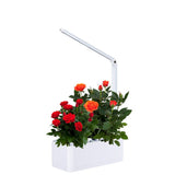 GreenEarth Mini Indoor Smart Hydroponics Plant & Herb Garden Kit with LED Light