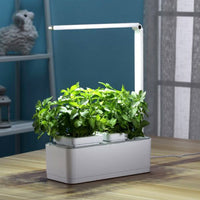 GreenEarth Mini Indoor Smart Hydroponics Plant & Herb Garden Kit with LED Light