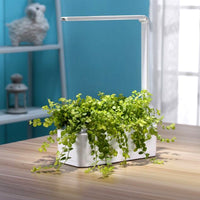 GreenEarth Mini Indoor Smart Hydroponics Plant & Herb Garden Kit with LED Light