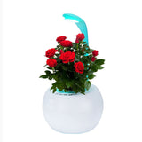 GreenEarth Hydroponic Indoor Garden System with LED Lights