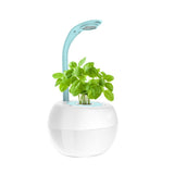 GreenEarth Hydroponic Indoor Garden System with LED Lights