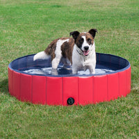 Paw Essentials Foldable PVC Dog Cat Swimming Pool Bathing Tub