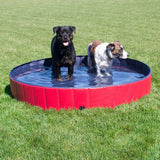 Paw Essentials Foldable PVC Dog Cat Swimming Pool Bathing Tub