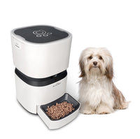 Paw Essentials Auto Pet Feeder - Bluetooth with On-Demand Feeding