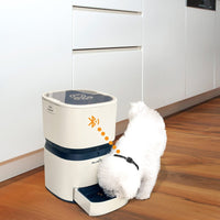 Paw Essentials Auto Pet Feeder - Bluetooth with On-Demand Feeding