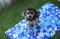 Paw Essentials Pet Cooling Mat with Pressure-Activated Cooling Gel for Dogs and Cats