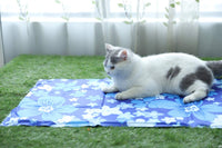 Paw Essentials Pet Cooling Mat with Pressure-Activated Cooling Gel for Dogs and Cats