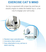 Cat Activity Toy 2 in 1