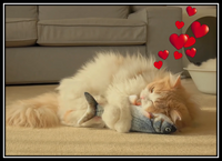 Pet Essentials Electric Moving Fish Cat Toy, Realistic Plush Simulation Electric Flooping Fish Cat Toy Toys for Cat- BRAND NEW