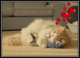 Pet Essentials Electric Moving Fish Cat Toy, Realistic Plush Simulation Electric Flooping Fish Cat Toy Toys for Cat- BRAND NEW