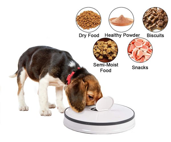 Paw Essentials 6-Meal Automatic Pet Feeder for Cats Dogs and Rabbits with Programmable Digital Timer and Music, Portion Control Food Dispenser