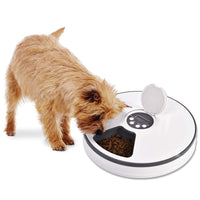 Paw Essentials 6-Meal Automatic Pet Feeder for Cats Dogs and Rabbits with Programmable Digital Timer and Music, Portion Control Food Dispenser